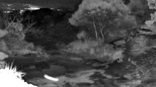 Still 1 from this detection