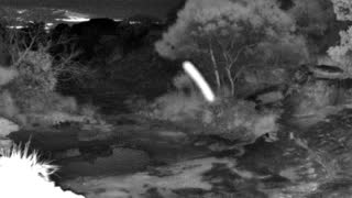 Still 2 from this detection