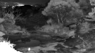 Still 1 from this detection