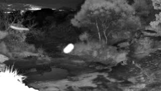 Still 2 from this detection