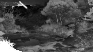 Still 3 from this detection