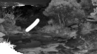 Still 3 from this detection