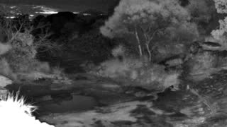 Still 2 from this detection