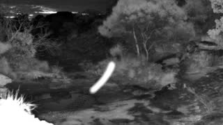 Still 3 from this detection