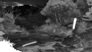 Still 1 from this detection