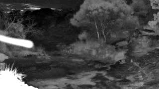Still 3 from this detection
