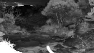 Still 1 from this detection