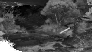 Still 2 from this detection
