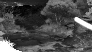 Still 1 from this detection