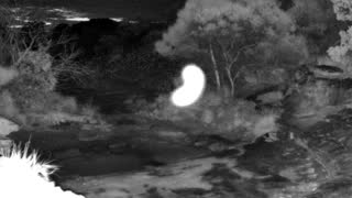 Still 1 from this detection