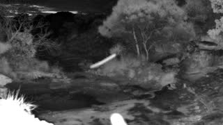 Still 1 from this detection