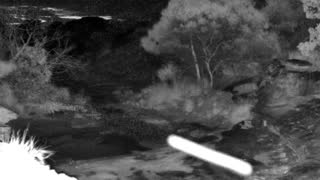 Still 2 from this detection