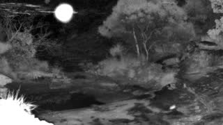 Still 1 from this detection