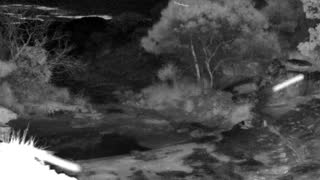 Still 2 from this detection