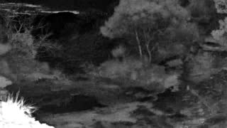 Still 2 from this detection