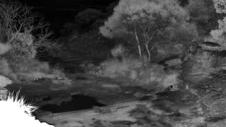 Still 2 from this detection