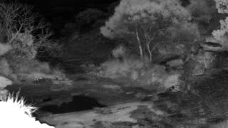 Still 2 from this detection