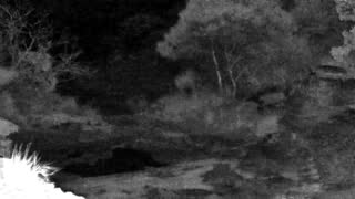 Still 2 from this detection
