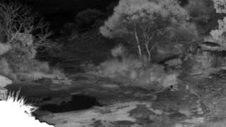 Still 2 from this detection