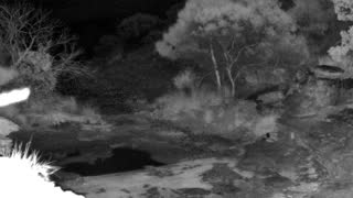Still 2 from this detection