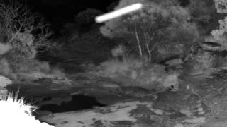 Still 1 from this detection