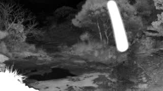 Still 2 from this detection