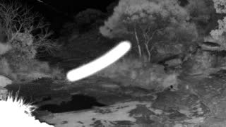 Still 1 from this detection
