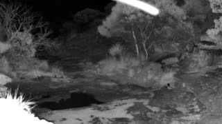 Still 2 from this detection