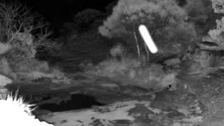 Still 2 from this detection