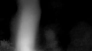 Still 2 from this detection