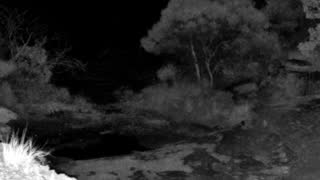 Still 3 from this detection