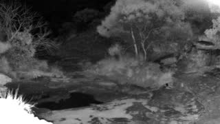 Still 2 from this detection