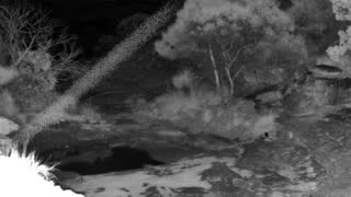Still 1 from this detection