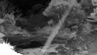 Still 2 from this detection