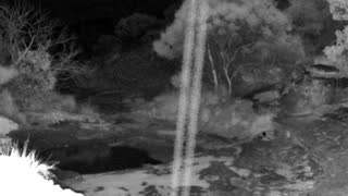 Still 3 from this detection