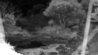 Still 3 from this detection