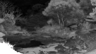 Still 2 from this detection