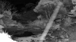 Still 1 from this detection