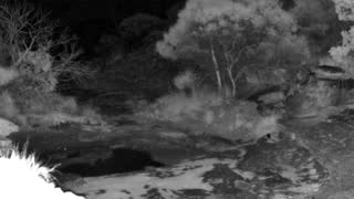 Still 2 from this detection
