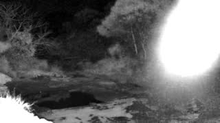 Still 1 from this detection