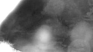 Still 2 from this detection