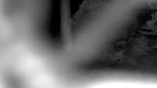 Still 1 from this detection