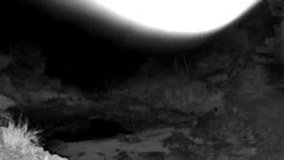 Still 2 from this detection