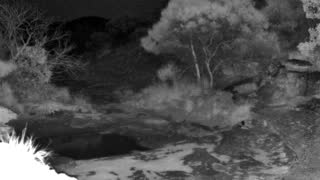 Still 1 from this detection