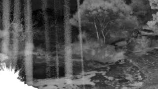 Still 3 from this detection