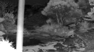 Still 1 from this detection