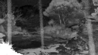 Still 2 from this detection