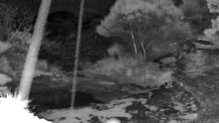 Still 2 from this detection