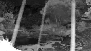 Still 2 from this detection