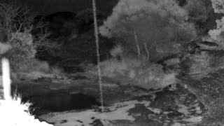 Still 3 from this detection